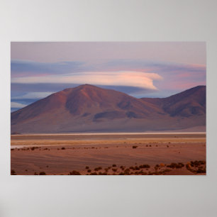 Salar del Huasco, Chile Poster