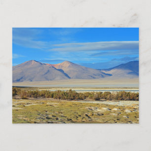 Salar del Huasco, Chile Postkarte