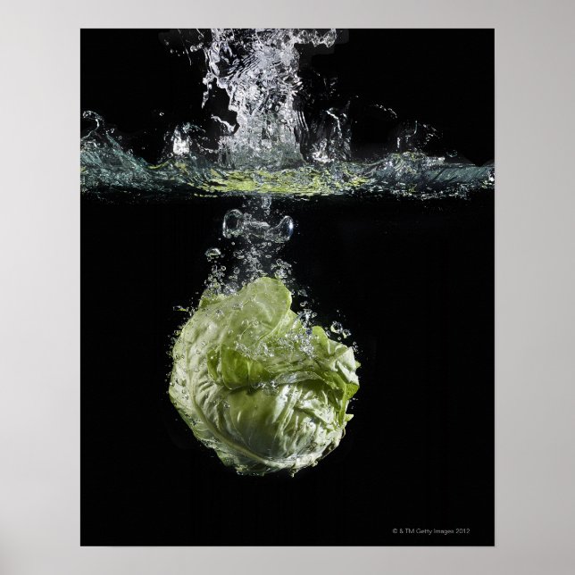 Salat im Wasser Poster (Vorne)
