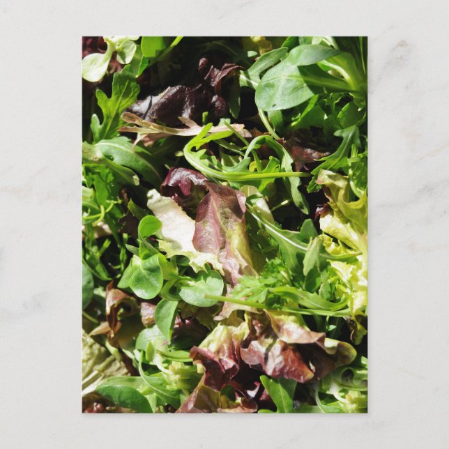Salat Postkarte (Vorderseite)