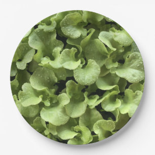 Salate Blätter für Naturfreunde.Party Pappteller