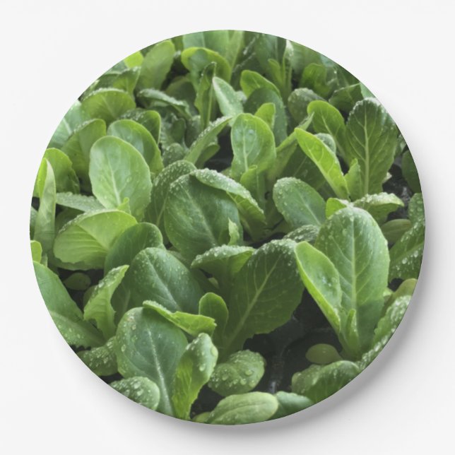 Salate Blätter für Naturfreunde.Party Pappteller (Vorderseite)