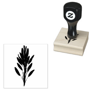 Salbei Kraut Botanischer Garten Floral Aquarell Gummistempel