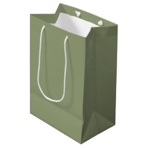 Salbeigrün Neutrale Elegante Einheitliche Farbe Mittlere Geschenktüte