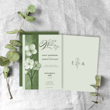Salbeigrüne handgezeichnete florale botanische Hoc