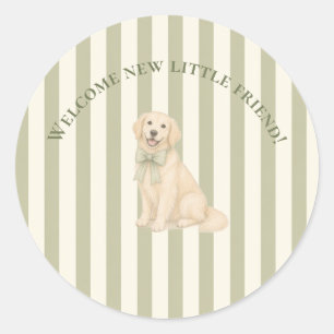 Salbeigrüner Golden Retriever Baby Shower  Runder Aufkleber