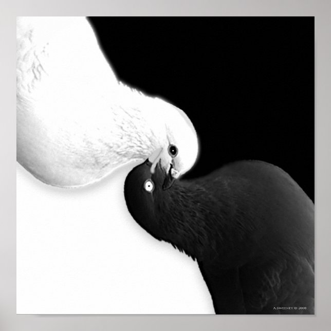 Saldo nach B und BB Poster (Vorne)