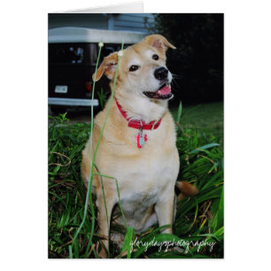 Sale, glorydaysphotography