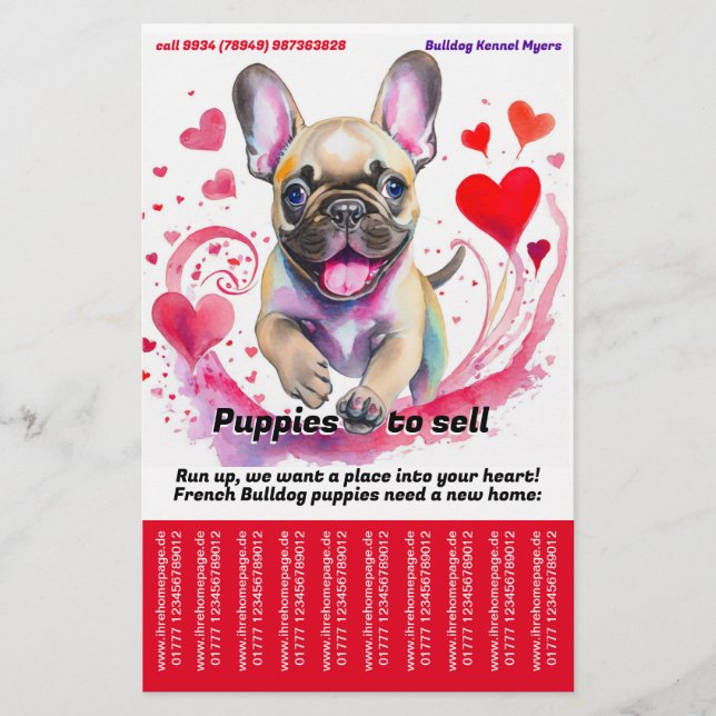 Sale Puppy French Bulldog Flyer (Vorne)