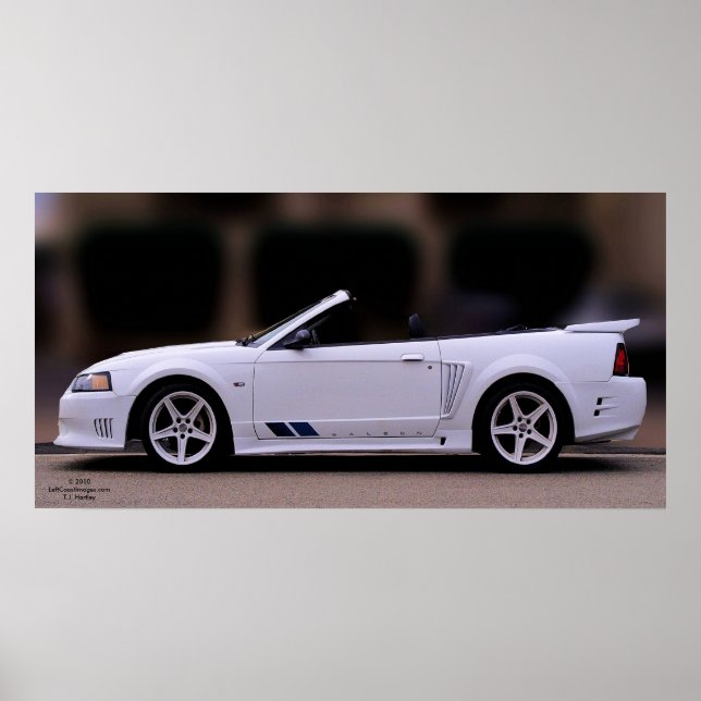 SALEEN MUSTANG POSTER (Vorne)