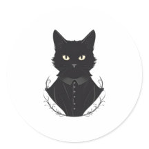 Salems verzauberte schwarze Katze