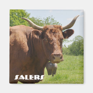 Salers Kuhmagnet Magnet