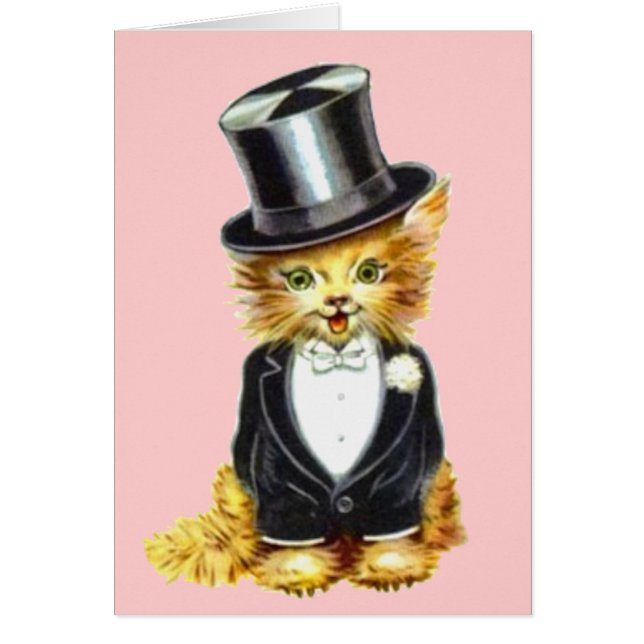 Salle de chat (Devant)