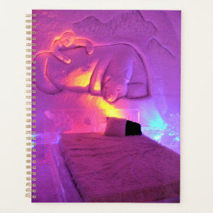 Salle d'ours polaire à l'Hôtel de Glace, Québec, C