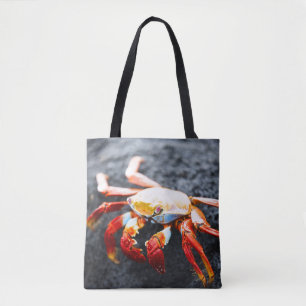 Sally lightfoot Krabbe auf einem schwarzen Tasche