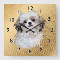 Sally Shih Tzu
