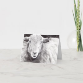 Sally the Sheep (a362) Karte