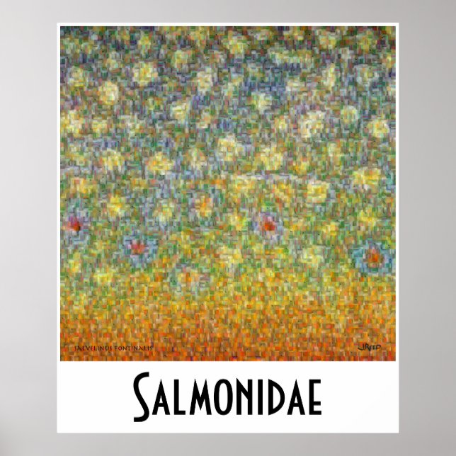 Salmonidae Skins Montage Postage Poster (Vorne)