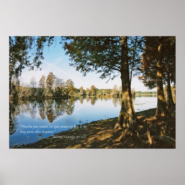 Salmos 119:165 poster (Vorne)