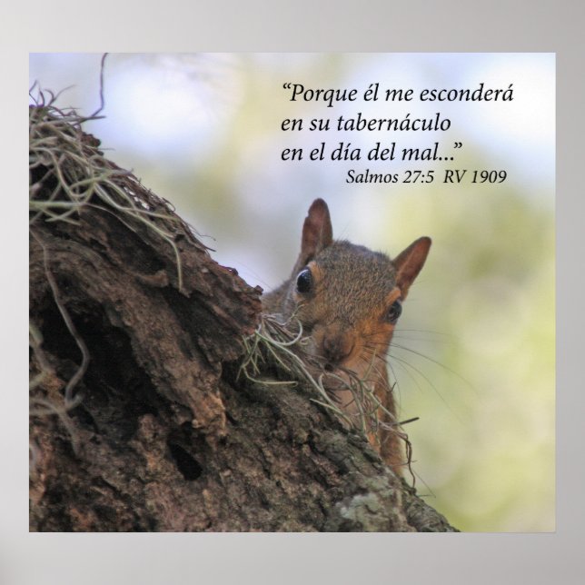 Salmos 27-5 con Ardilla Poster (Vorne)