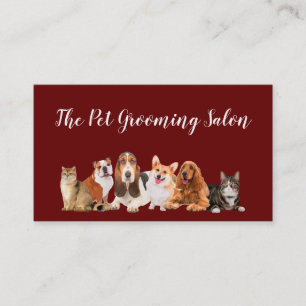 Salon accueillant pour animaux de compagnie Cartes