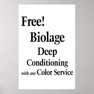 Salon Friseursalon Poster Haar Conditioning Biolag