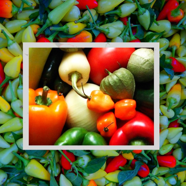 Salsa Gemüse, Tomaten, Paprikaschoten, Zwiebeln Postkarte (Von Creator hochgeladen)
