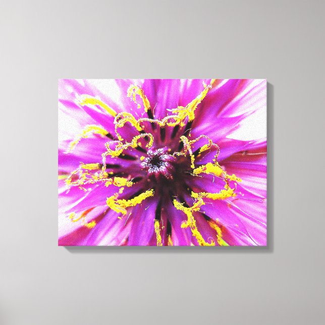 Salsifizierende Blume Leinwanddruck (Vorderseite)