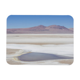 Salt Lake auf der Straße nach Argentinien Magnet