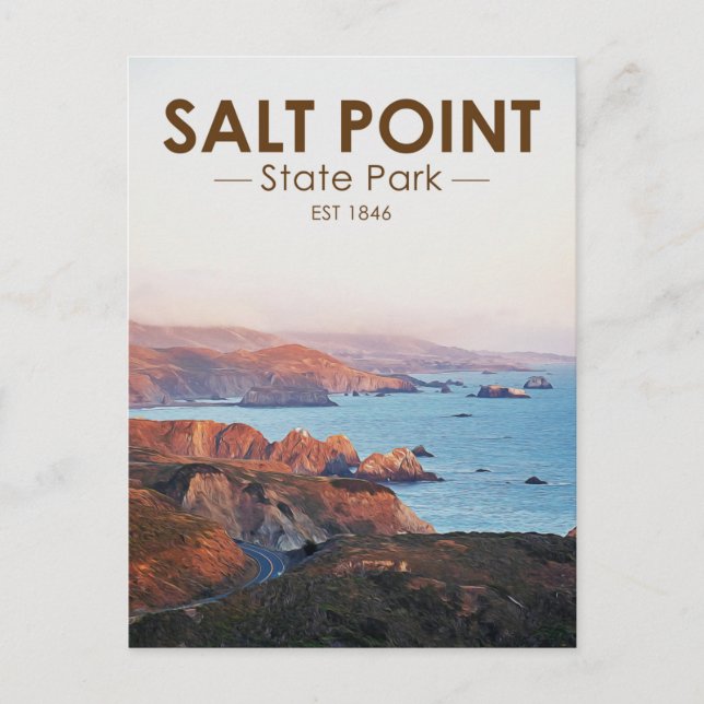 Salt Point Staat Park California Postkarte (Vorderseite)