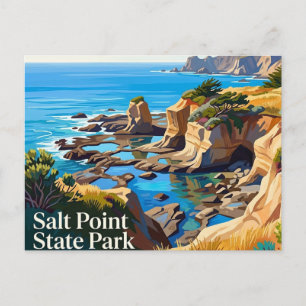 Salt Point State Park Kalifornien Postkarte