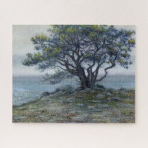 ‚Salt Point Tree‘