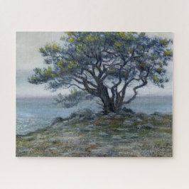 ‚Salt Point Tree‘