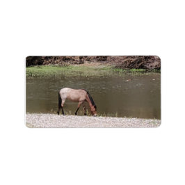 Salt River Wild Horses Collection Address Label Adressaufkleber