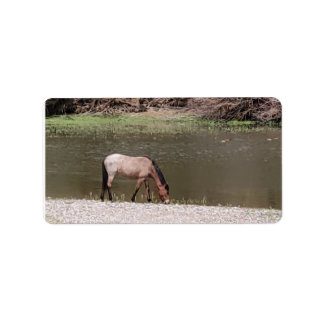 Salt River Wild Horses Collection Address Label Adressaufkleber
