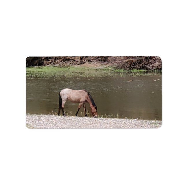 Salt River Wild Horses Collection Address Label Adressaufkleber (Vorne)