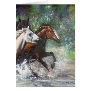 Salt River wilde Pferde