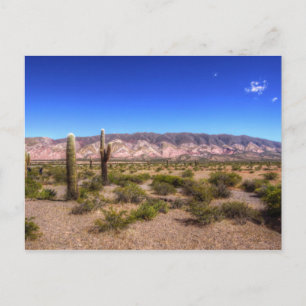 Salta Argentina Cactus Pflanze und Barren Hill Postkarte