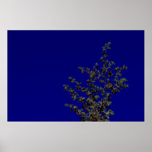 Saltbush Atriplex Leaf Natur Minimalistisches Post Poster