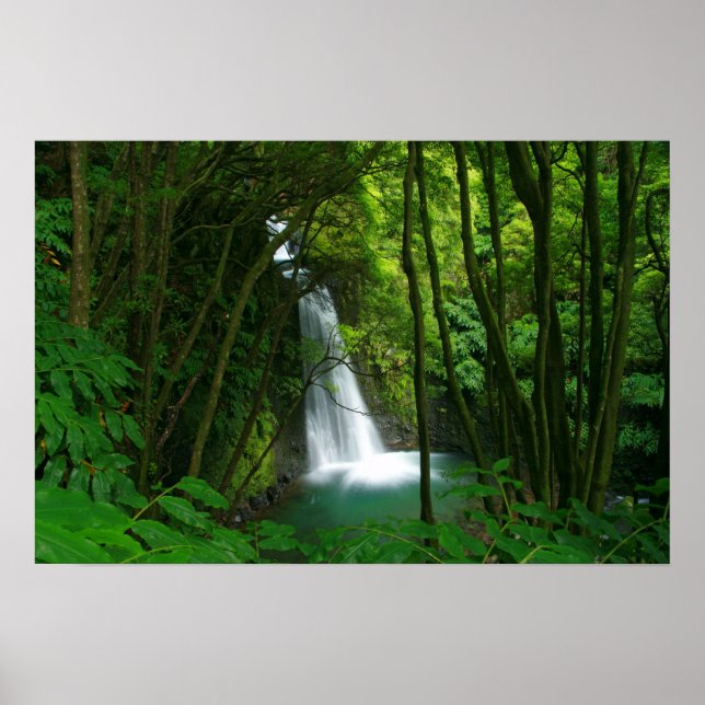 Salto do Prego, Azoren Poster (Vorne)