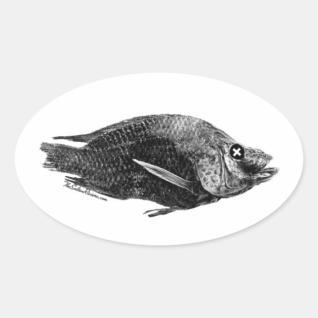 Salton Sea Dead Tilapia Oval Sticker (Vorderseite)