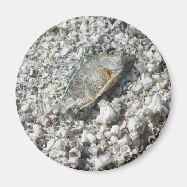 Salton Sea Magnet (Vorne)