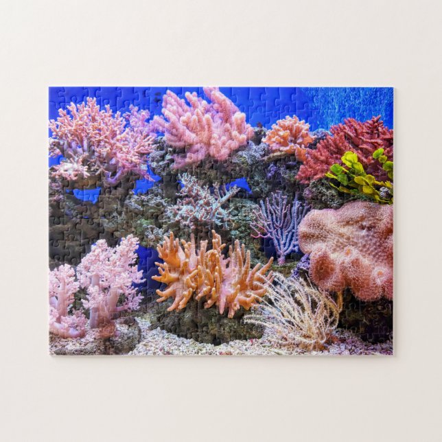 Saltwater Aquarium - Korallenriff (Horizontal)