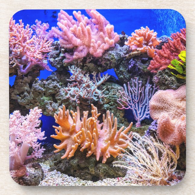 Saltwater Aquarium - Korallenriff Getränkeuntersetzer (Vorderseite)