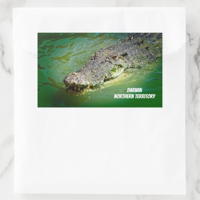 Saltwater Crocodile aus Darwin Rechteckiger Aufkleber (Tasche)