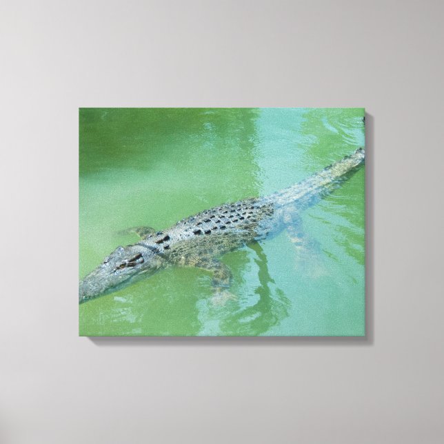 Saltwater Crocodile Leinwanddruck (Vorderseite)