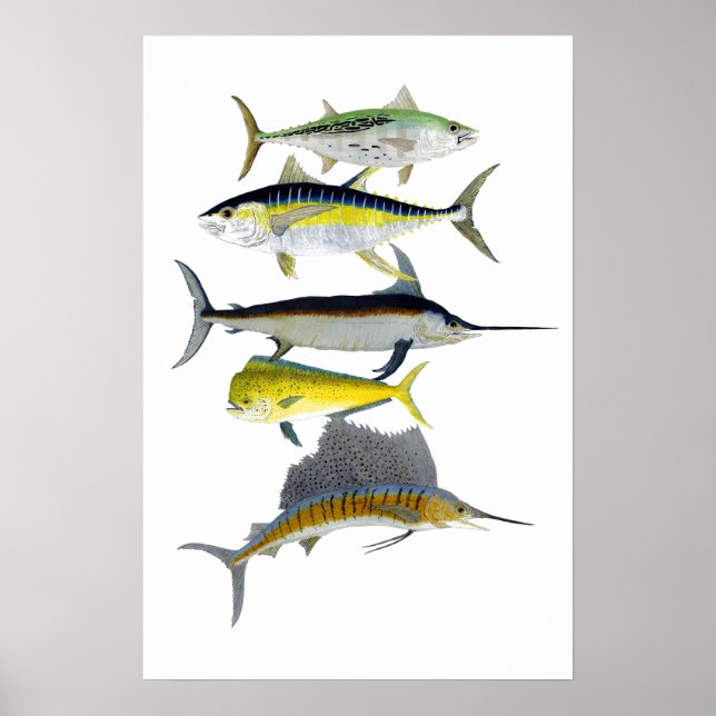 Saltwater Gamefish Art Poster (Vorne)