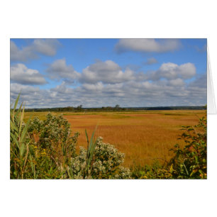 Saltwater Marsh Notecard