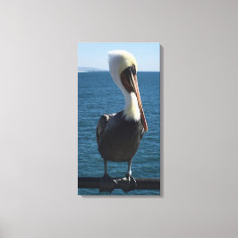 Salty Sea Pelican Leinwand