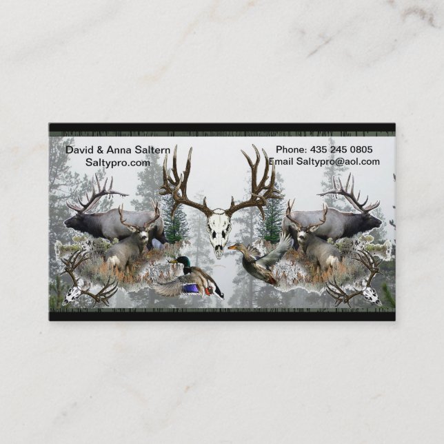 Saltypro Entwurfsgeschäft ODER Visitenkarte (Vorderseite)